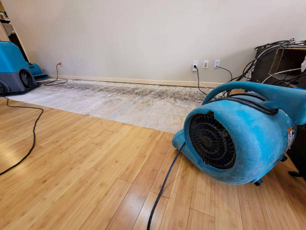 Professional Water Damage Repair technician working in Moline, IL